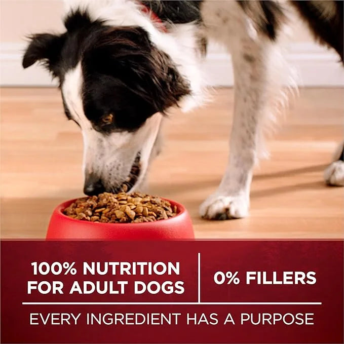 Purina ONE True Instinct High Protein Dry Dog Food Formula with Real Chicken and Duck Natural with Added Vitamins and Mine...