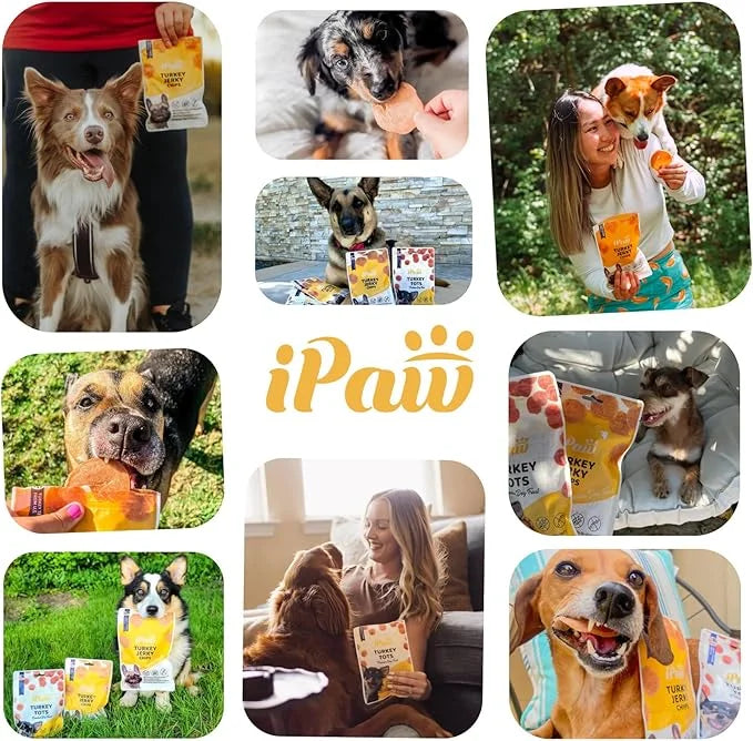 Dog Treats for Puppy Training, All Natural Human Grade Dog Treat, Hypoallergenic, Easy to Digest (Chicken Tots), 2 Packs -...