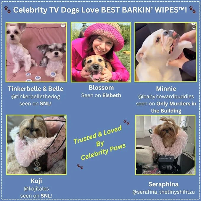Best BARKIN' Wipes with Free Mesh Bag - Dog Wipes for Paws Ears and Butt - Micellar Aloe Scented Travel Friendly Puppy Wip...