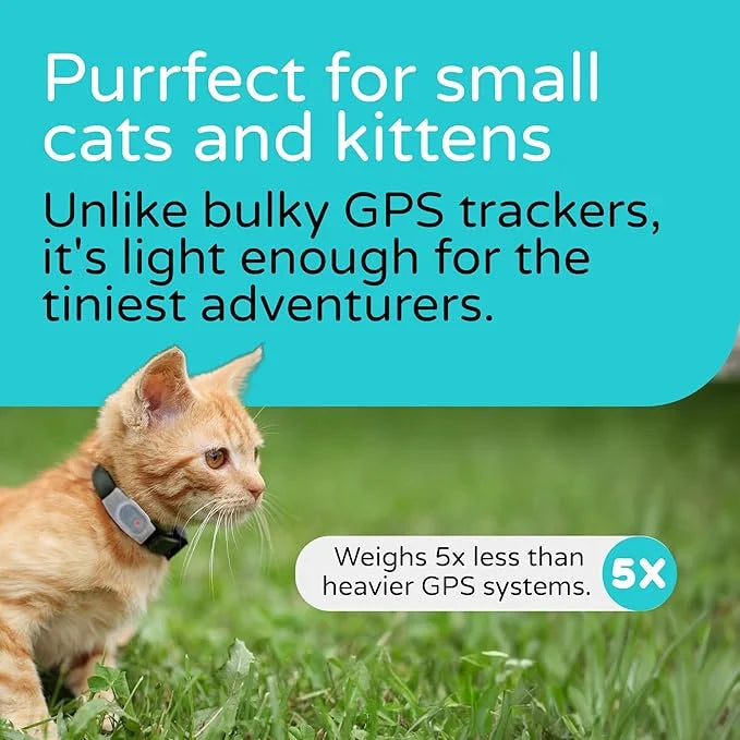 Tabcat V2 Cat & Kitten Tracker - More Accurate Than GPS - No Monthly Fee or Subscription - Includes 4 Homing Tags - Up to ...