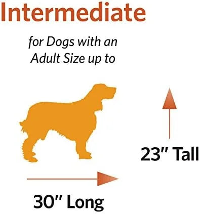 MidWest Homes for Pets Newly Enhanced Single & Double Door iCrate Dog Crate, Includes Leak-Proof Pan, Floor Protecting Fee...
