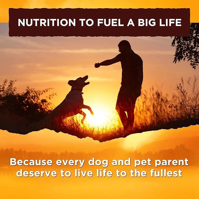 Nature's Recipe Grain Free Dog Food, Chicken, Sweet Potato & Pumpkin Recipe, 4 Pounds, Easy to Digest - Product Image