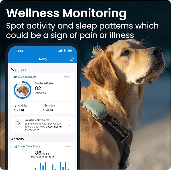 Tractive XL GPS Dog Tracker (50 lbs+) | Real-time Pet Location Tracker | Health & Wellness Alerts | Virtual Fence for Dogs...