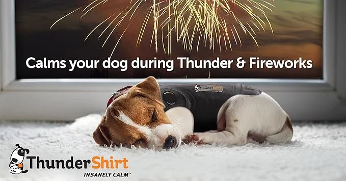 ThunderShirt for Dogs, XX Large, Platinum Sport - Dog Anxiety Relief Calming Vest - Product Image