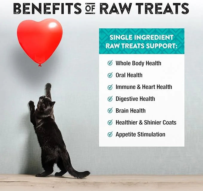 Northwest Naturals Raw Rewards Freeze-Dried Chicken Breast Treats for Dogs and Cats - Bite-Sized Pieces - Healthy, 1 Ingre...