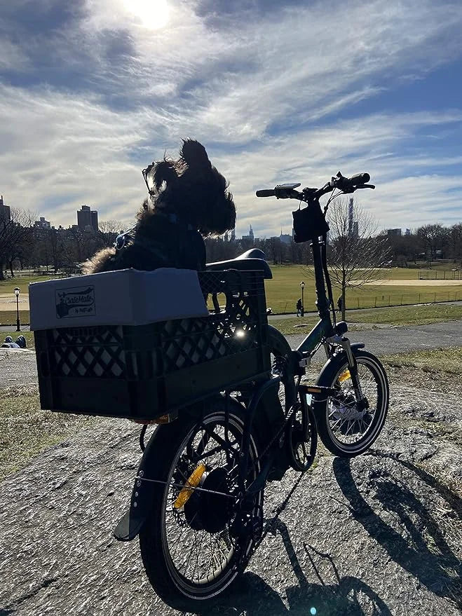 DIY Crate Conversion/Bike Dog Carrier Package (Crate NOT Included) Padded Liner is 2 Sizes in One + 4 Point Safety Harness...