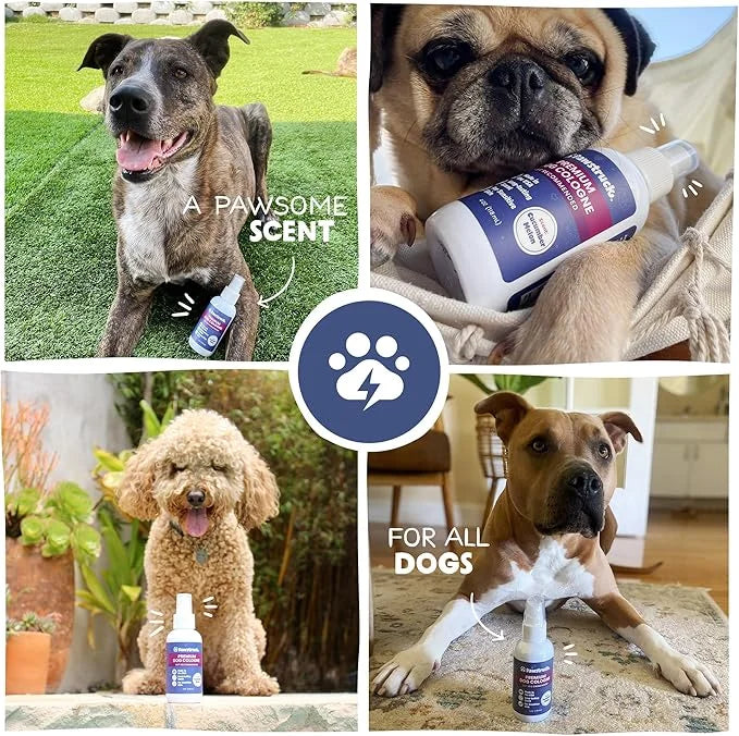 Vet Recommended Premium Dog Cologne & Perfume Deodorizing Spray - Long Lasting Puppy Safe Sensitive Skin Formula Made in U...