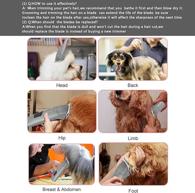 10 Blade Dog Grooming Clipper Blades Compatible with Andis Dog Clippers,Detachable Stainless Steel Blade,Size 10, 1/16-Inc...
