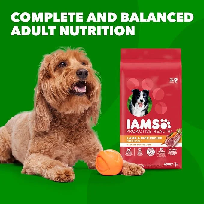IAMS Minichunks Adult Dry Dog Food Lamb & Rice Recipe Dog Kibble, 30 lb. Bag - Product Image