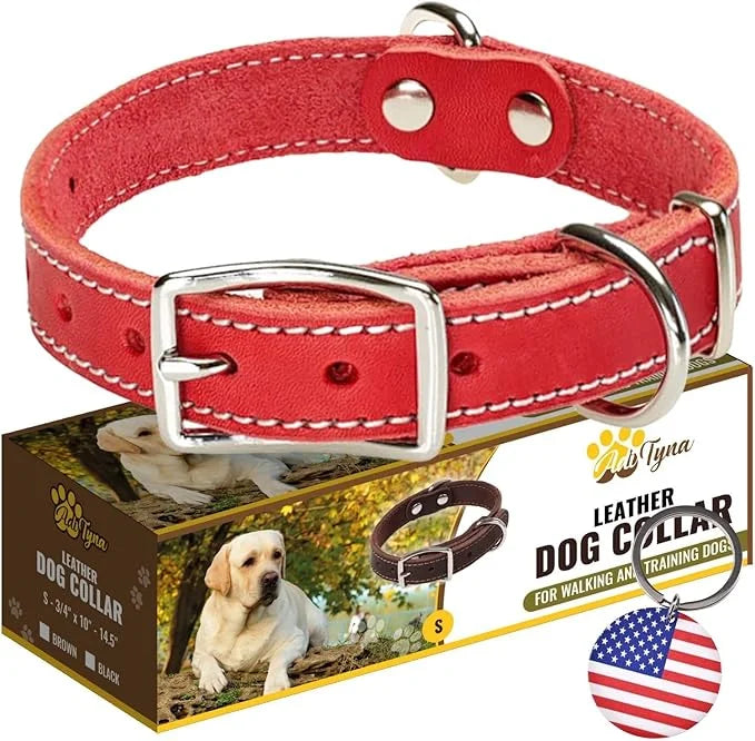 Heavy Duty Red Leather Dog Collar for Small Dogs- Soft and Strong Dog Collar for Puppy or Small Dogs (Small: Fit 10" - 14....