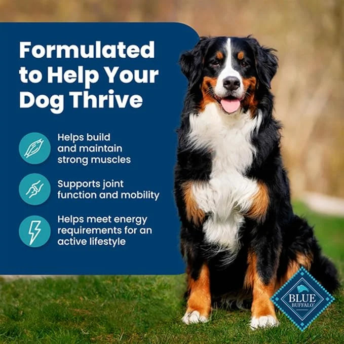 Blue Buffalo Life Protection Formula Adult Dry Dog Food, Helps Build and Maintain Strong Muscles, Made with Natural Ingred...
