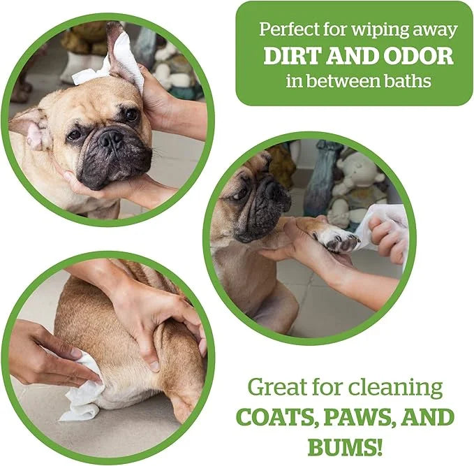 Pogi's 300 Unscented Dog Poop Bags w/Handles and 100 Plant-based Grooming Wipes Bundle - Product Image