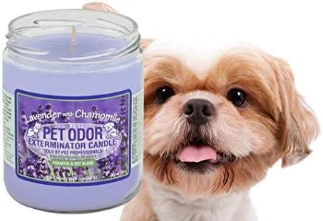 0 Pet Odor Exterminator Candle Lavender with Chamomile - Product Image