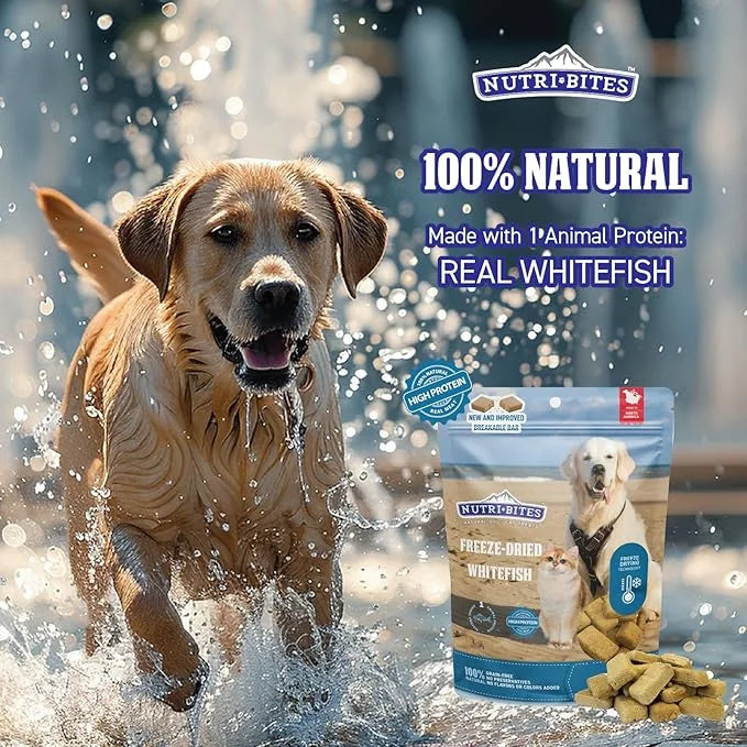 Nutri Bites Freeze Dried Whitefish Dog & Cat Treats 4 oz | Healthy Pet Training Treats or Food Topper | All Natural, High ...