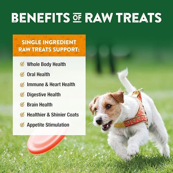 Northwest Naturals Raw Rewards Freeze-Dried Cheddar Cheese Treats for Dogs and Cats - Bite-Sized Pieces - Healthy, 1 Ingre...