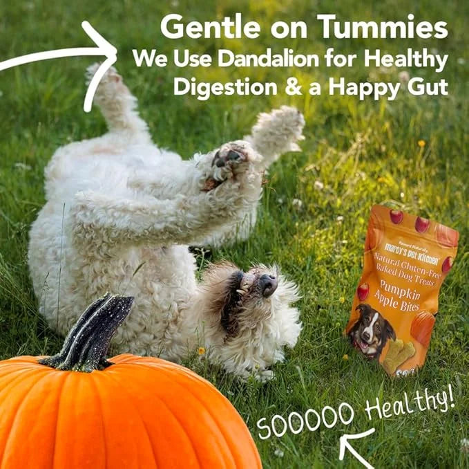 Marcy's Pet Kitchen- All Natural, Crunchy, Pumpkin Biscuit Dog Treats - Homemade - Crunchy Approved- Vegan, Gluten Free, H...