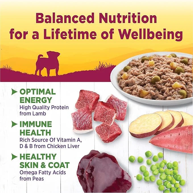 Wellness Petite Entrées Casserole with Roasted Lamb, Peas & White Sweet Potatoes, 3-Ounce Cup (Pack of 12) - Product Image