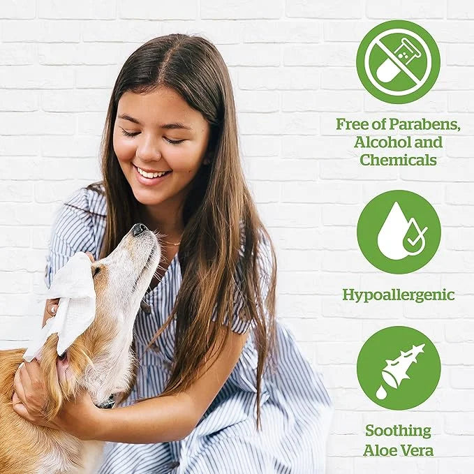 Pogi's Grooming Wipes Home & Travel Bundle - 100-Count Grooming Wipes for Home and 240-Count Packs for Travel - Product Image