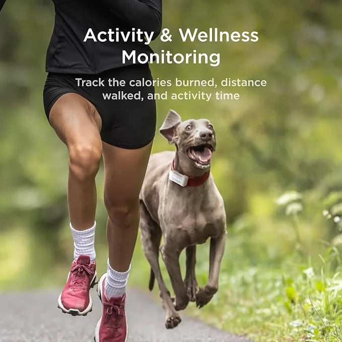 Petcube GPS Tracker for Dogs | Pet GPS Location Tracker with Escape Alerts and Virtual Fences, Activity and Wellness Monit...