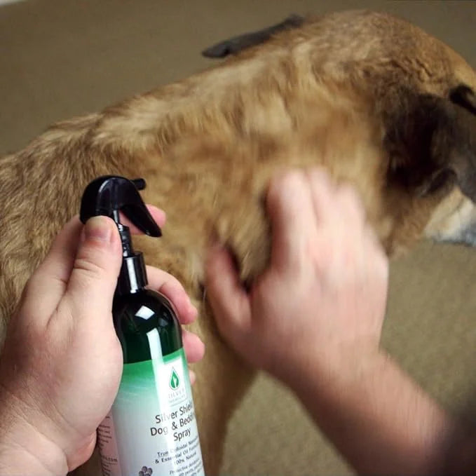 Silver Shield Dog & Bedding Spray | All Natural Colloidal Silver Dog Hygiene Spray - Product Image