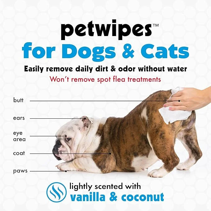 Petkin Mega Valu-Pak Pet Wipes, 500 Total Wipes - Pet Wipes for Dogs and Cats - for Face, Paws, Ears, Body and Eye Area - ...