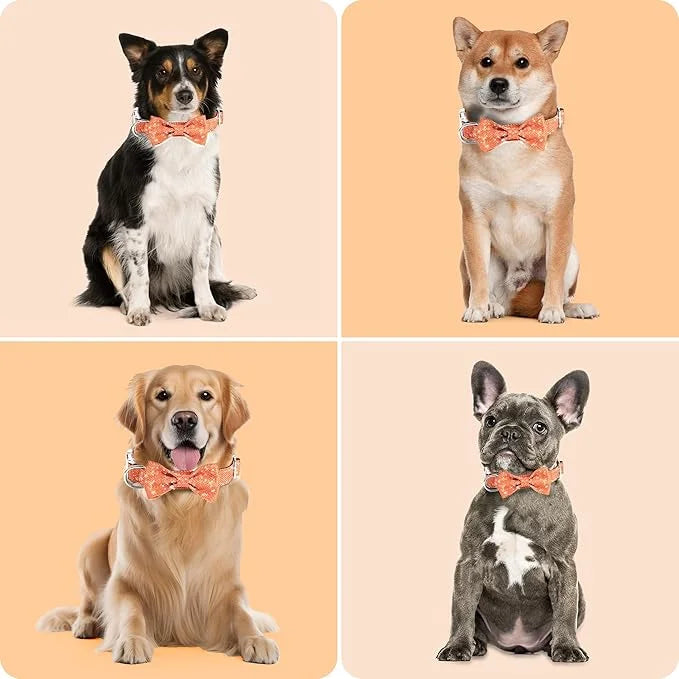 Dog Collar with Bow for Small Medium Large Dogs, Cute Bling Dog Bow Tie Collar with Metal Buckle, Soft & Durable for Mediu...