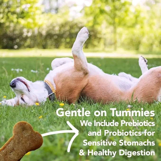 Marcy's Pet Kitchen- All Natural, Crunchy, Peanut Butter Dog Treats - Vet Approved- Homemade - Vegan, Gluten Free, Human G...