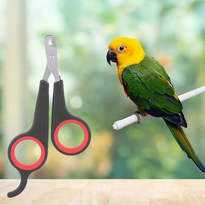 Bird Nail Clipper Grooming Tool Nail Scissors Clipper Pet Bird Parrot Small Animals Accessory for Small Parrot Birds - Pro...