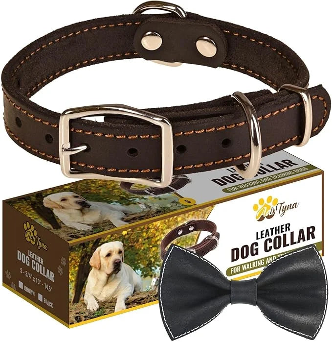 Heavy Duty Black Leather Dog Collar - Soft and Strong Dog Collar for Puppy or Small Dogs (Small: Fit 10" - 14.5" Neck, Bla...