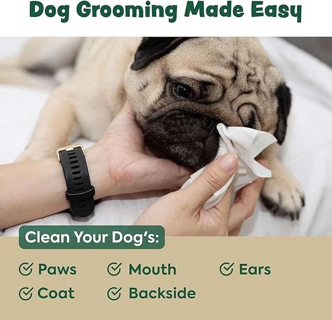 440 Dog Wipes for Cleaning and Deodorizing - 4 Pack of 110 8.5" x 9" Bamboo Pet Wipes - Compostable, Hypoallergenic Puppy ...