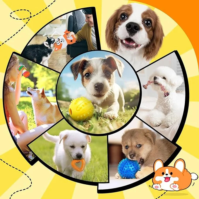 Zeaxuie 9 Pack Puppy Toys for Teething, Puppy Chew Toys with Cute Squeaky Dog Toys, Treat Ball and Rope Dog Chew Toys for ...