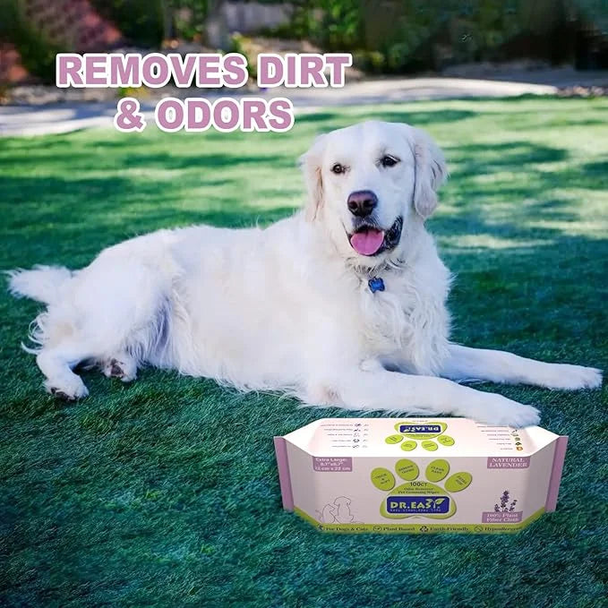 DR.EASY Lavender 200ct Scent Pet Wipes for Dogs and Cats,Ears, Face, Butt, Body and Eye –Convenient, Nature,Home or Travel...