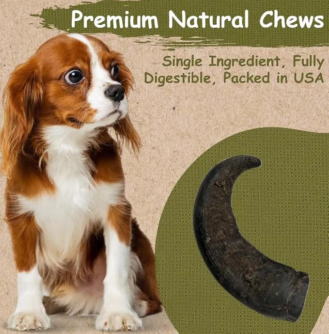 Top Dog Chews – Water Buffalo Horn, Long Lasting Dog Chew for Aggressive Chewers, All Natural, Dog Bone for Large & Medium...
