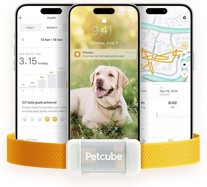 Petcube GPS Tracker for Dogs | Pet GPS Location Tracker with Escape Alerts and Virtual Fences, Activity and Wellness Monit...
