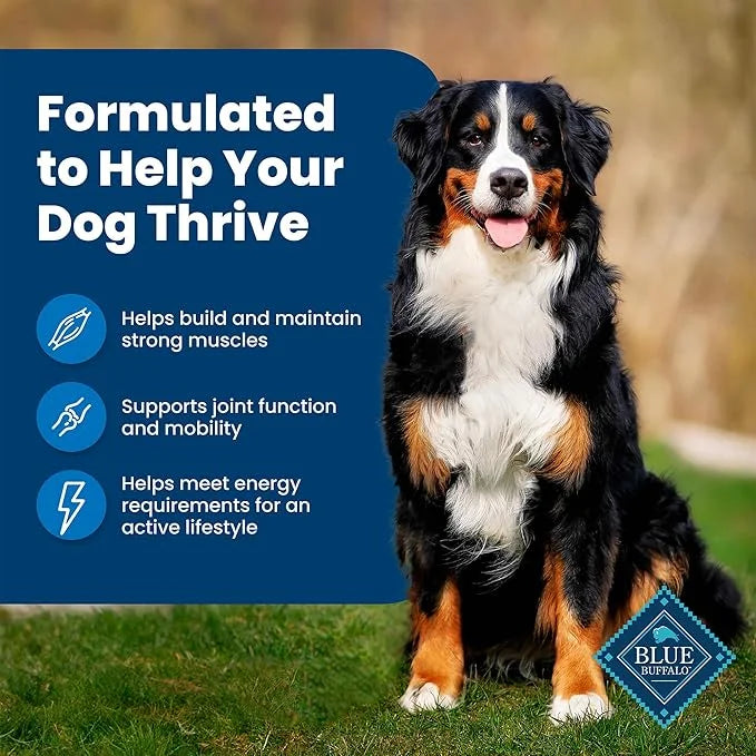 Blue Buffalo Life Protection Formula Adult Dry Dog Food, Helps Build and Maintain Strong Muscles, Made with Natural Ingred...