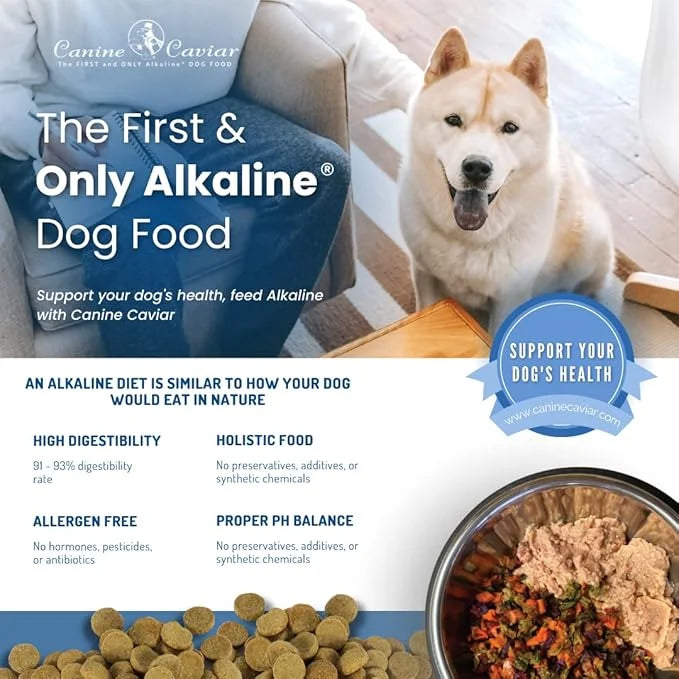 Canine Caviar Open Range Dog Food | Limited Ingredient Alkaline Holistic Dog Food – All Life Stages | Gluten Free, Ultra-P...