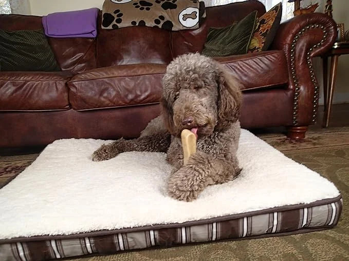 Yak Snak Dog Chews - All Natural Hard Cheese Himalayan Dog Treats - Long Lasting Dog Chews, Made from Yak Milk, Small, Med...
