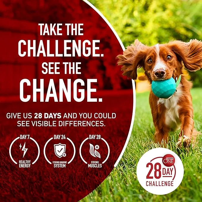 Purina ONE True Instinct With A Blend Of Real Turkey and Venison Dry Dog Food - 36 lb. Bag - Product Image