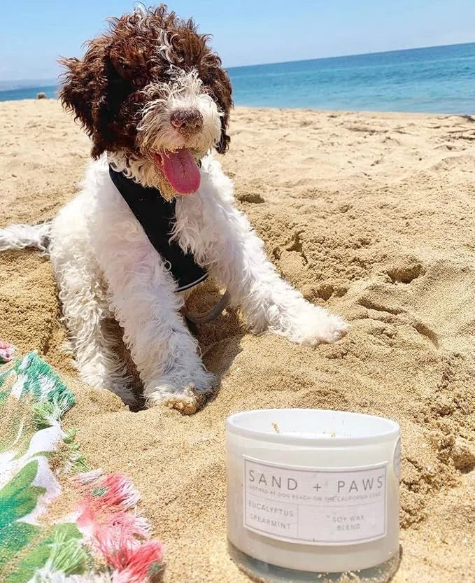 Sand + Paws Scented Candle - Tahitian Vanilla –Luxurious Air Freshening Jar Candles Neutralize pet Odors and Enhance Home ...