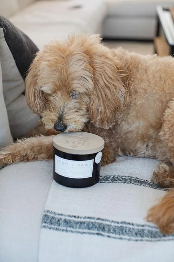 Sand + Paws Scented Candle - California Beach House–Luxurious Air Freshening Jar Candles Neutralize pet Odors and Enhance ...