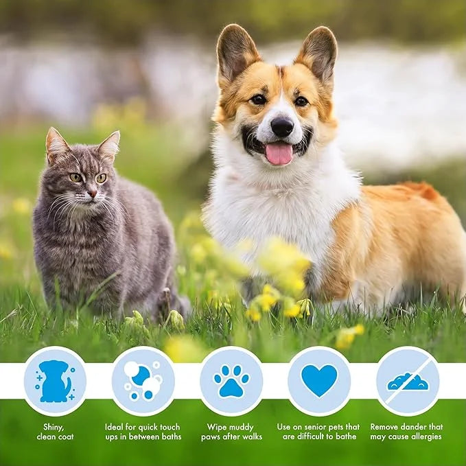 Petkin Mega Valu-Pak Pet Wipes, 500 Total Wipes - Pet Wipes for Dogs and Cats - for Face, Paws, Ears, Body and Eye Area - ...