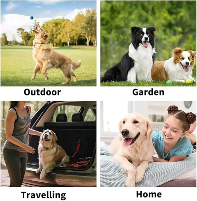 Pet Grooming Glove Wipes, Pet Bathing Wipes, PET Cleaning Deodorizing Bathing Wipes for Dogs & Cats, Cleaning Gloves for D...