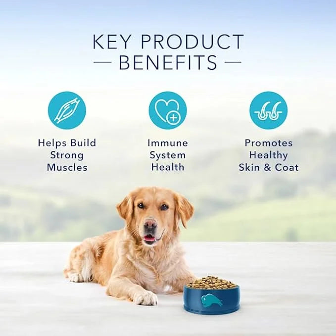 Blue Buffalo Blue Life Protection Formula Natural Adult Beef and Brown Rice Dry Dog Food, 24 lbs. - Product Image