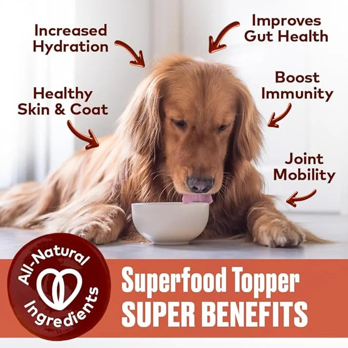 Beef Bone Broth for Dogs - Collagen Protein Supplement for Digestion, Mobility, Coat, Immune System, Healthy Dog Food Topp...