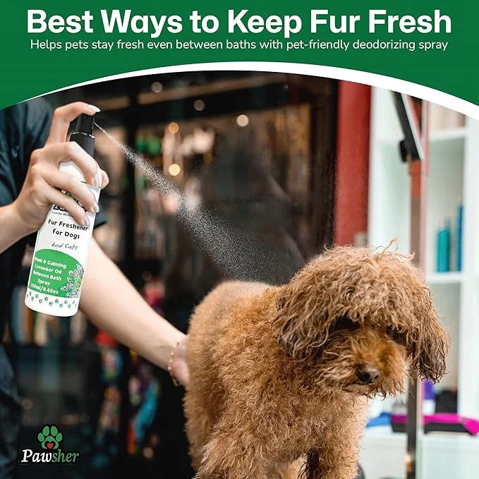Ultimate Dog Wellness Pack: Fur Spray, Dental Care (Spray & Wipes), Paw Balm and Dog Wet Wipes - Product Image