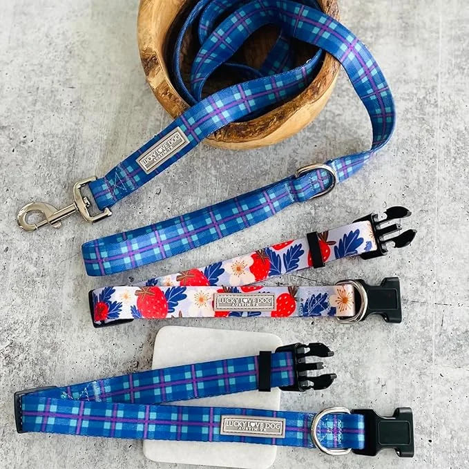 Lucky Love Dog, Blue and Violet Plaid Dog Collar, Adjustable & Comfy Collar for Boy and Girl Dog, Easy On & Off Clasp Acce...