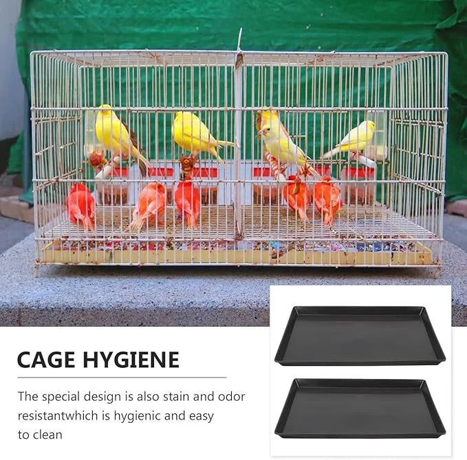 1 - Product Image