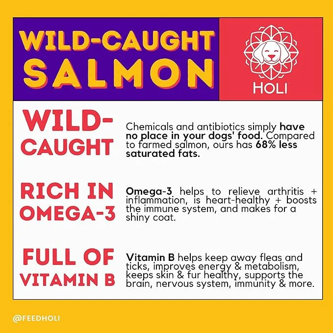 HOLI Freeze Dried Salmon Dog Treats - with Omega 3 and 6 Fish Oil - All Natural - Human Grade - Wild Caught Salmon with Sk...