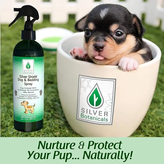 Silver Shield Dog & Bedding Spray | All Natural Colloidal Silver Dog Hygiene Spray - Product Image