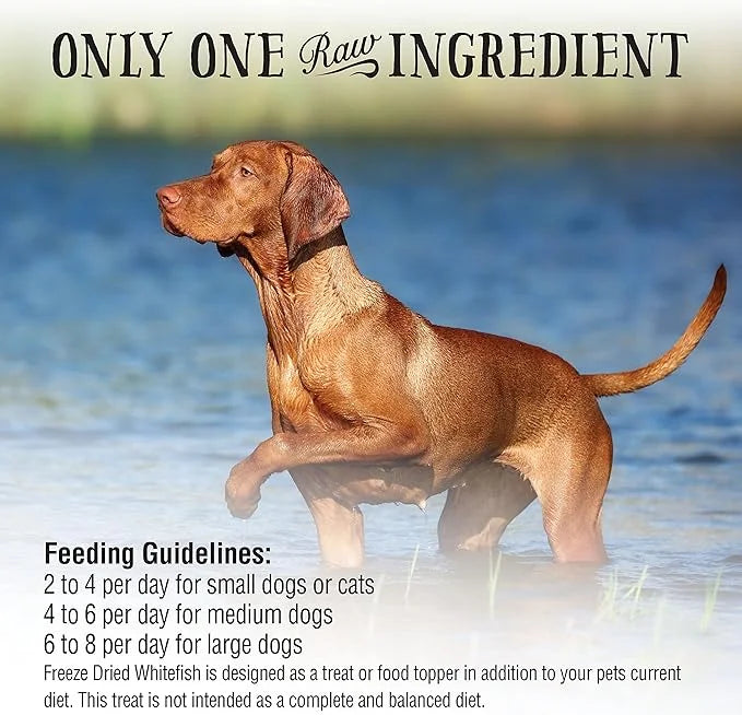 Northwest Naturals Raw Rewards Freeze-Dried Whitefish Treats for Dogs and Cats - Bite-Sized Pieces - Healthy, 1 Ingredient...